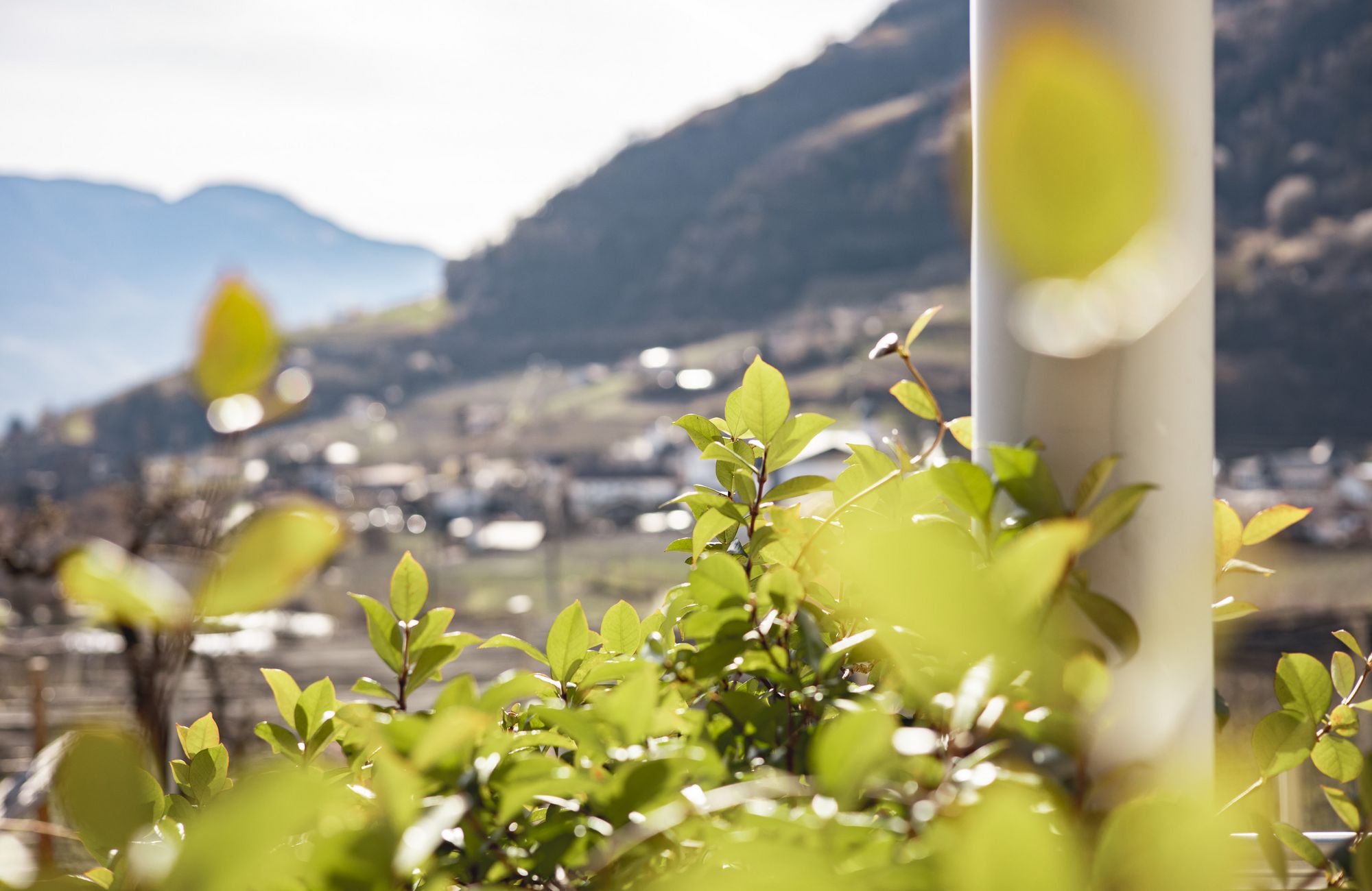 Urlaub am Scheitenguterhof in Algund
