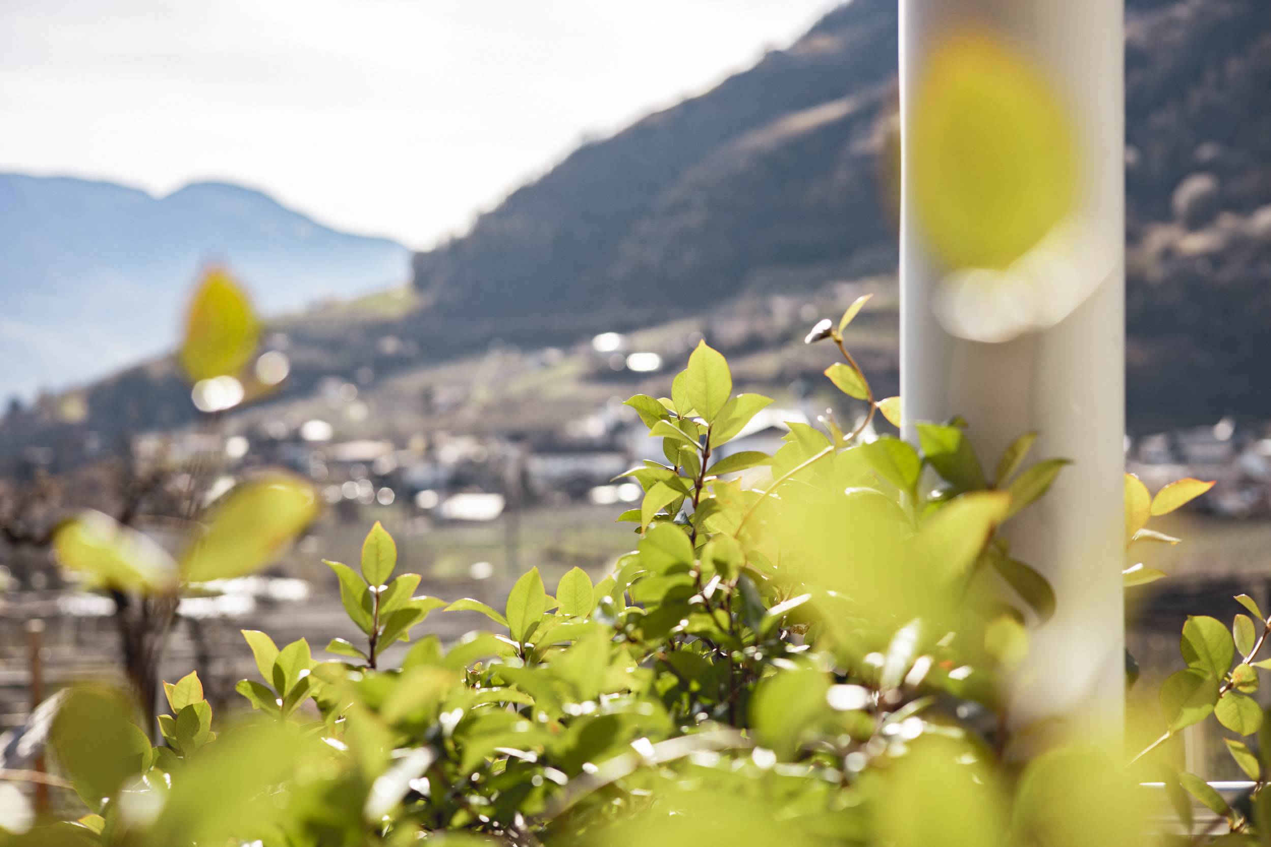Urlaub am Scheitenguterhof in Algund